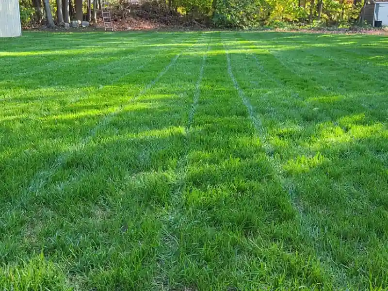 fix compact areas in your lawn